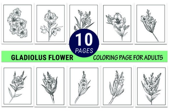 Gladiolus August Birth Flower Drawings: A Complete Workflow Solution for Creators